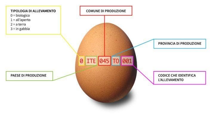 Le uova da galline allevate “a terra” sono una buona scelta