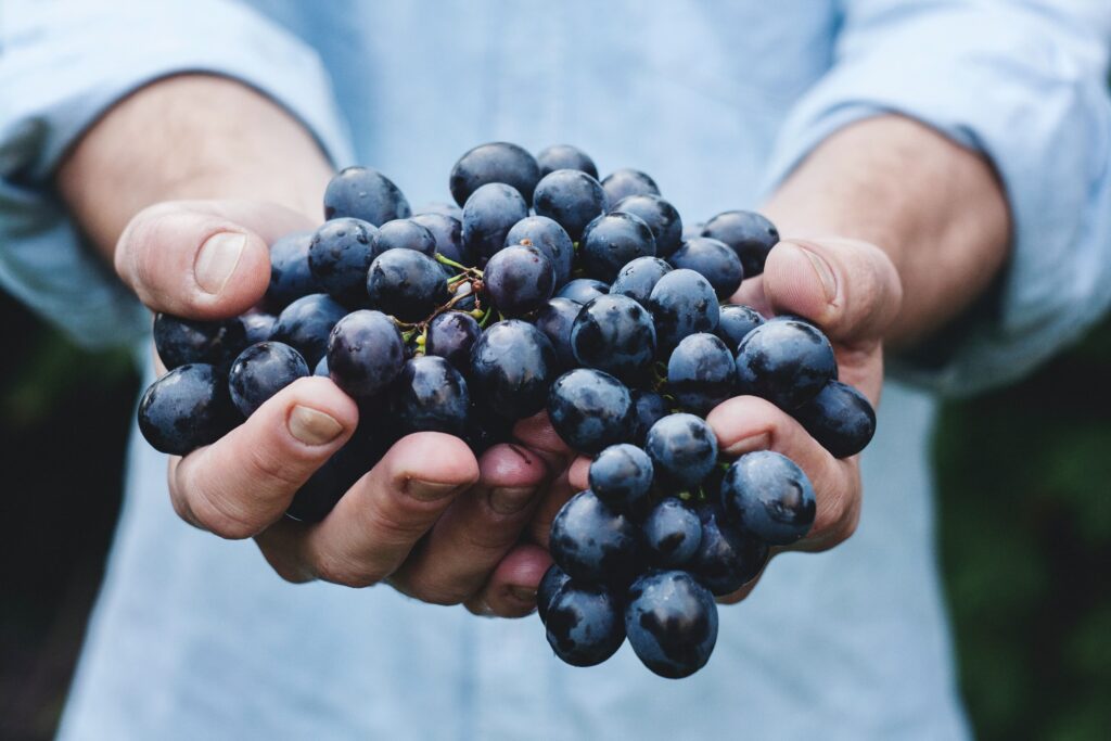 8 trucchi per riconoscere un vino che sa di tappo