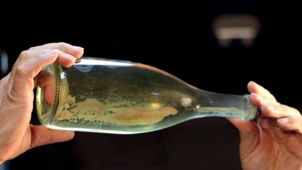 Spumante o frizzante? All’origine di uno dei vini più amati